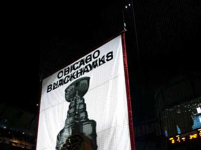 Pending Decision on Implementation of the Novel Regulations by the Commission