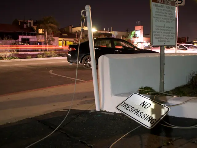 Annual Law Suspension Permits Unrestricted Criminal Acts, Including Homicide