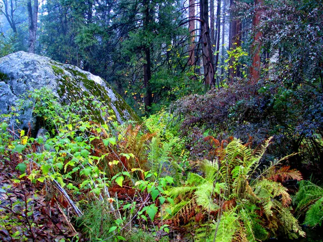 Exploring the Most Breathtaking Nature Trails in Yellowstone and Grand Teton National Parks