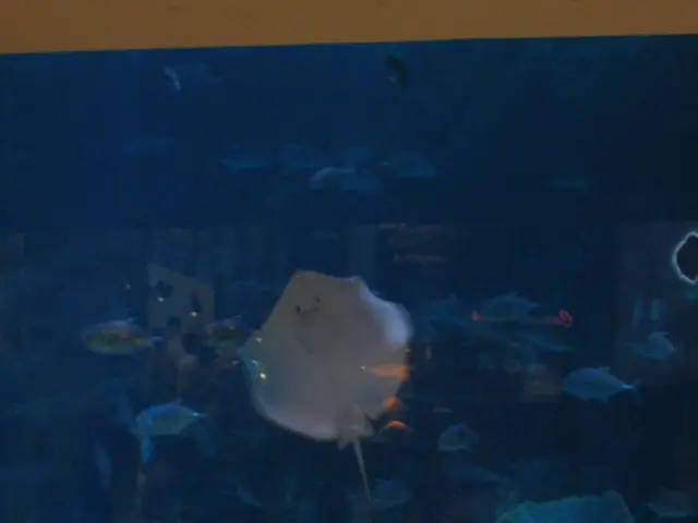 Massive green oasis set to replace damaged aquarium at Berlin Radisson hotel