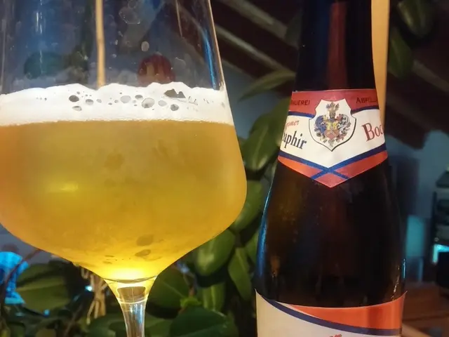 Grape harvesters commence operations in Saale-Unstrut viticulture zone