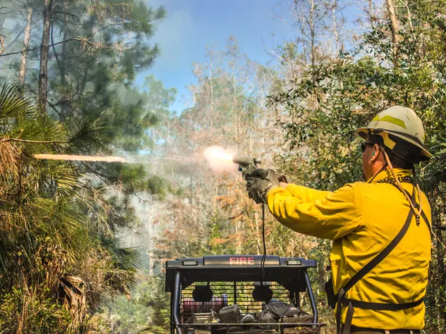Gunshot victim found near Loring Park, Minneapolis; no apprehensions made