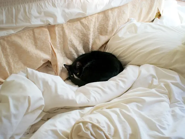 Convenience store chain, 7-Eleven, launches exclusive pajama line to hype up their round-the-clock...