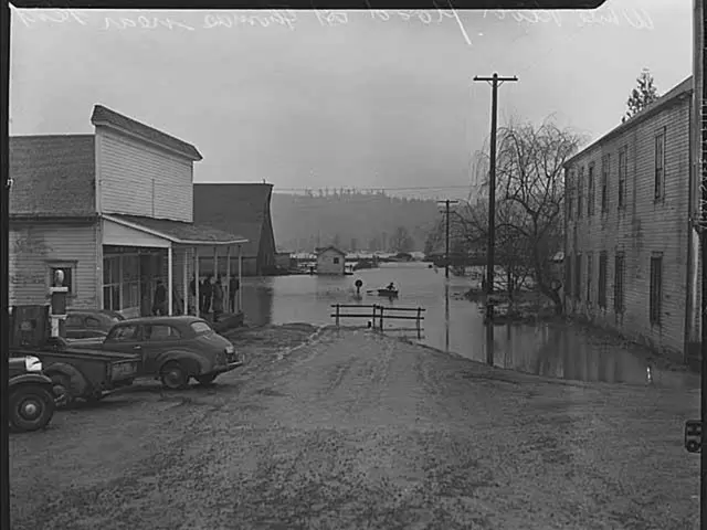 Indoor marijuana cultivation facilities identified by Hildesheim prosecutors and police