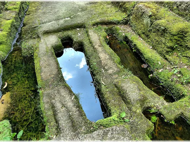 Hydrogen Fuel Going Green: Its Role in Halting Climate Crisis - DW