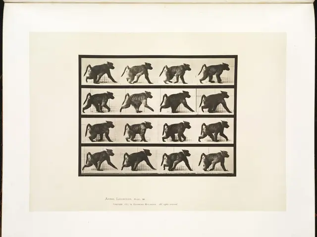 Moscow authorities detained an individual from Sochi on charges of deceitful financial practices.