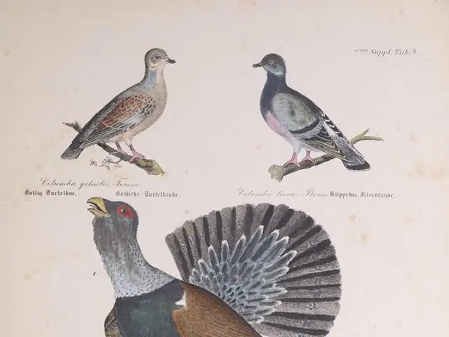 Wild Bird Personality Persistence Determined by Diverse Natural Habitats