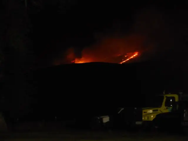 Vehicle in Neustadt engulfed in flames