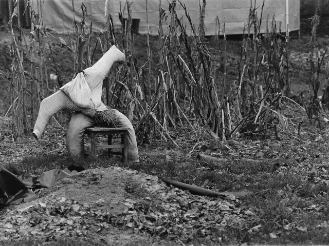 Netflix in collaboration with Blumhouse ventures into a fresh terrifying realm with the series...