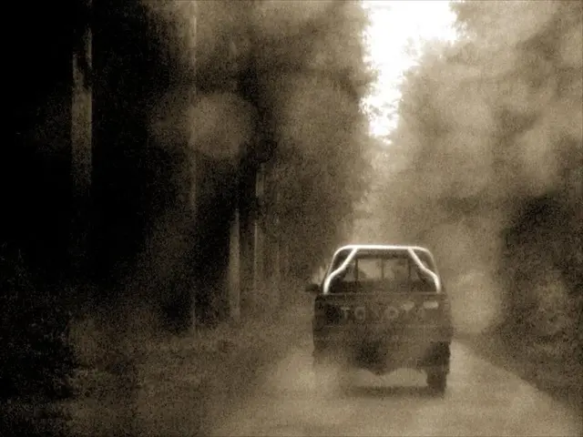 Jacksonville Introduces Public Transportation via Autonomous Vehicles