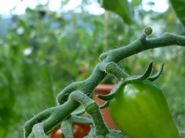 "Kavli Institute for Particle Astrophysics and Cosmology (KIPAC) - In-depth Insight - Terminology...