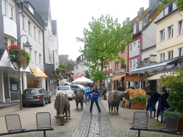 Skyrocketing prices for beef cattle - bigger profits for heifers and cows in the market