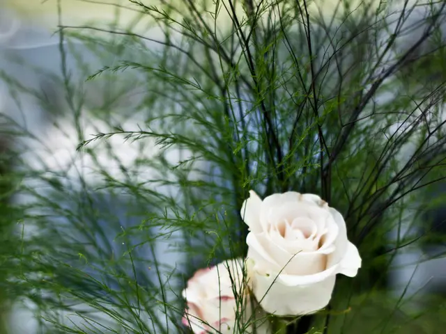 In this image we can see a flower bouquet.