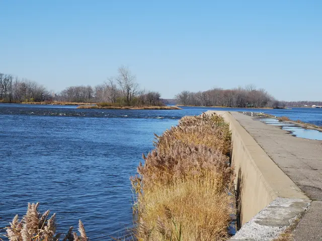 In this picture there are some dry plants and small walking area. Behind there is a blue clear...