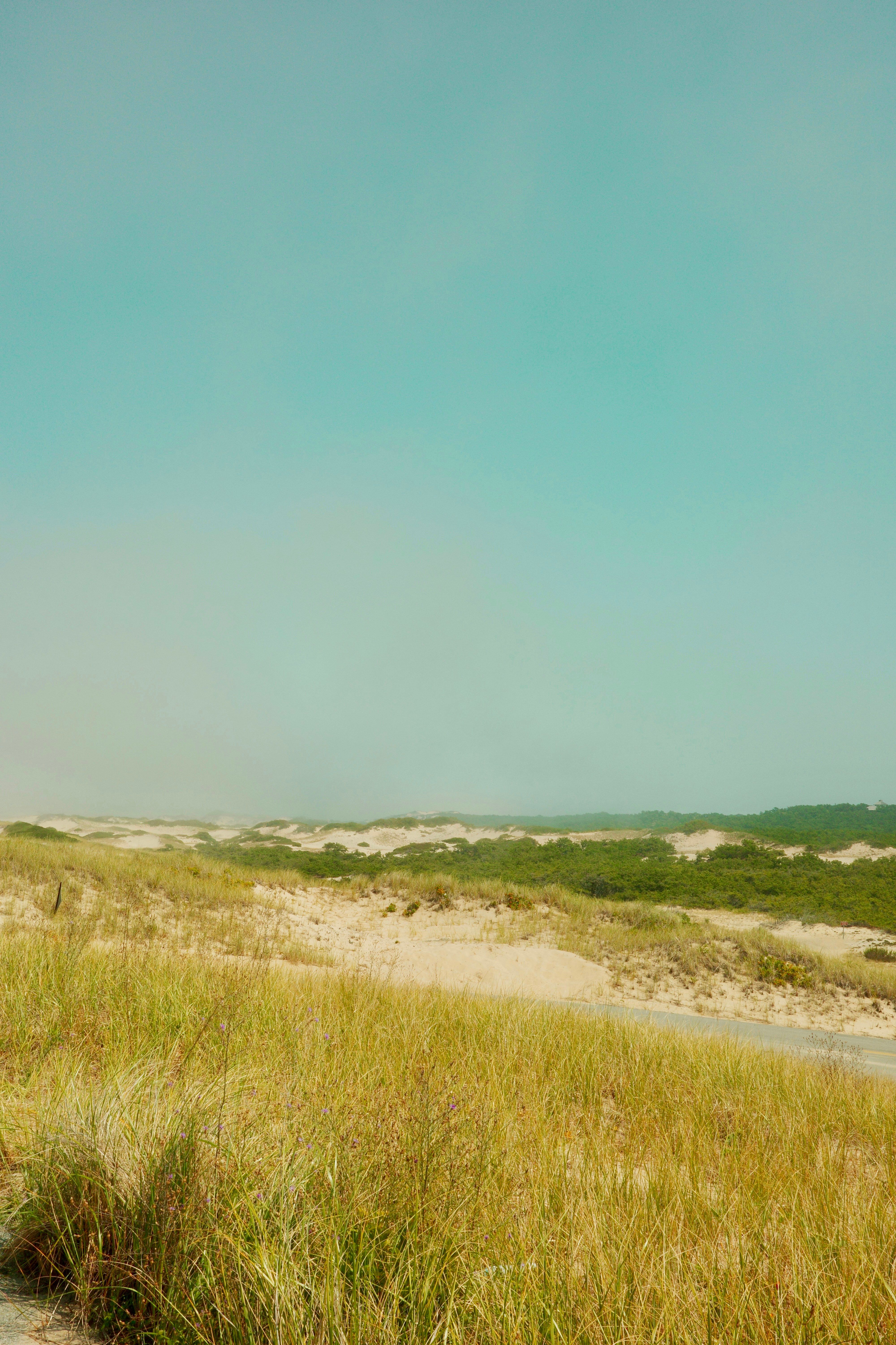 Many individuals opt for using a VPN, such as Torguard, while playing poker or browsing the...