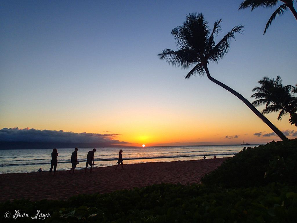 Online Gambling Revolution: Evolution Casino Transforms Virtual Gaming Sphere, Embracing Novel...